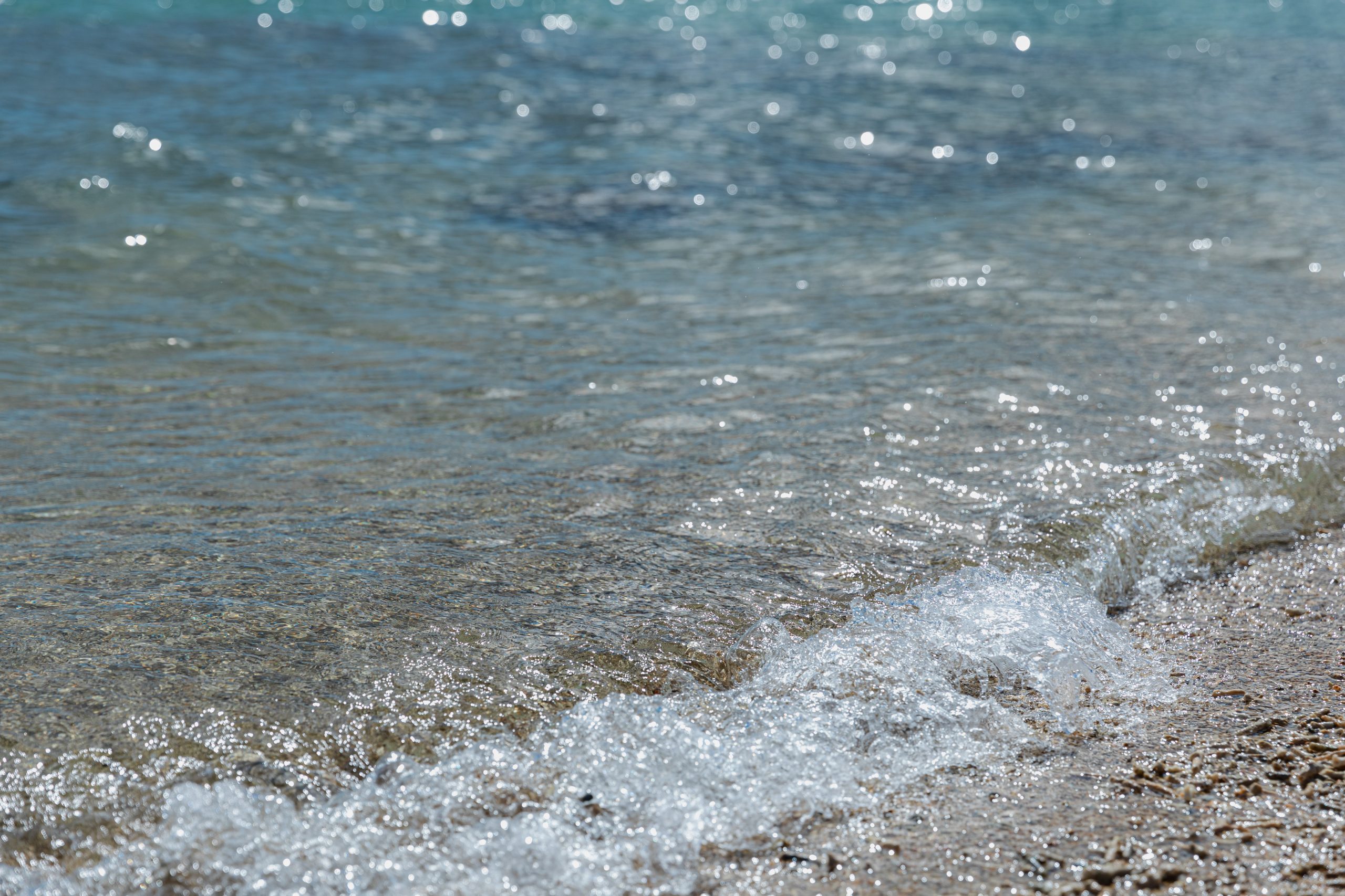 フォトギャラリー