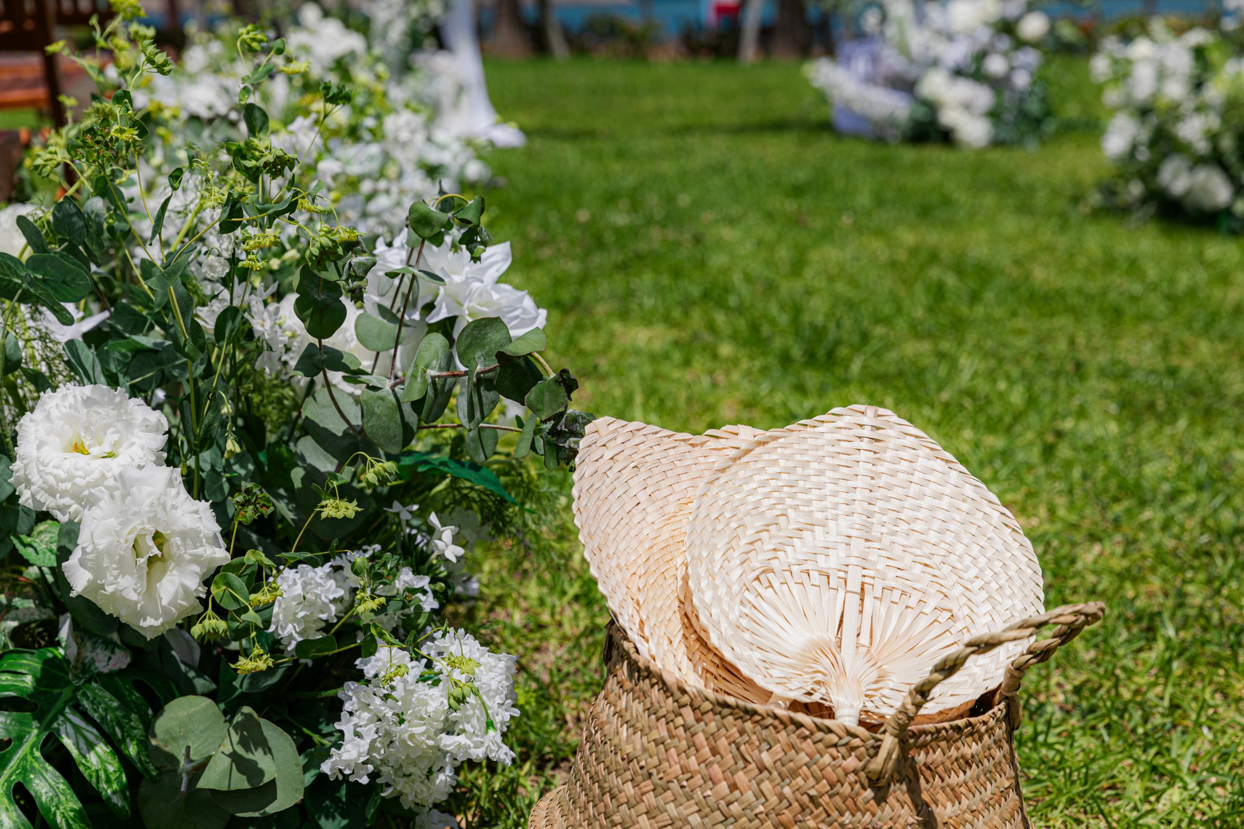 フォトギャラリー