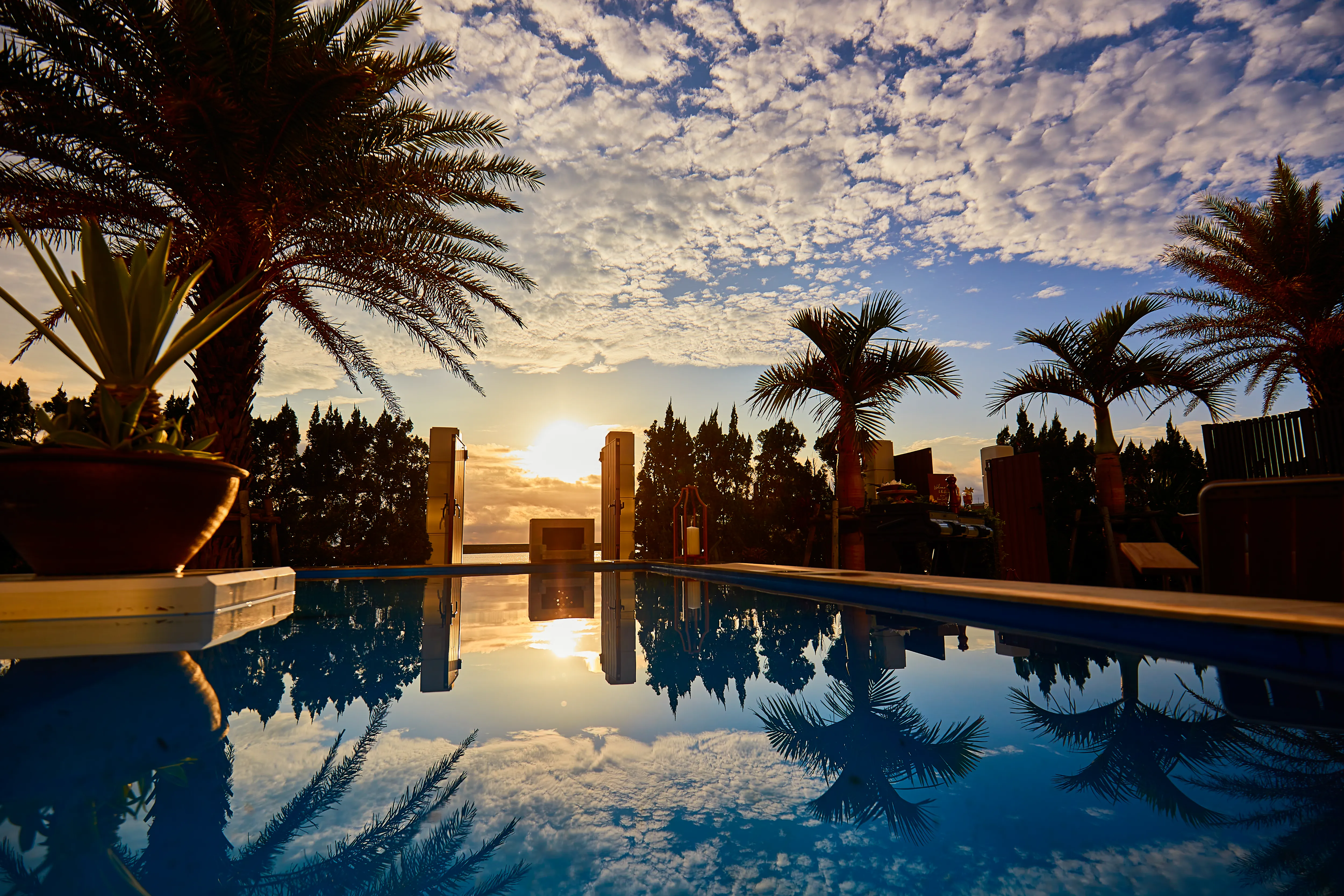 サンセットウエディング_テラス