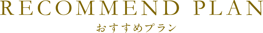おすすめプラン