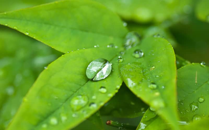 フォトセッションが楽しいロケフォトの魅力