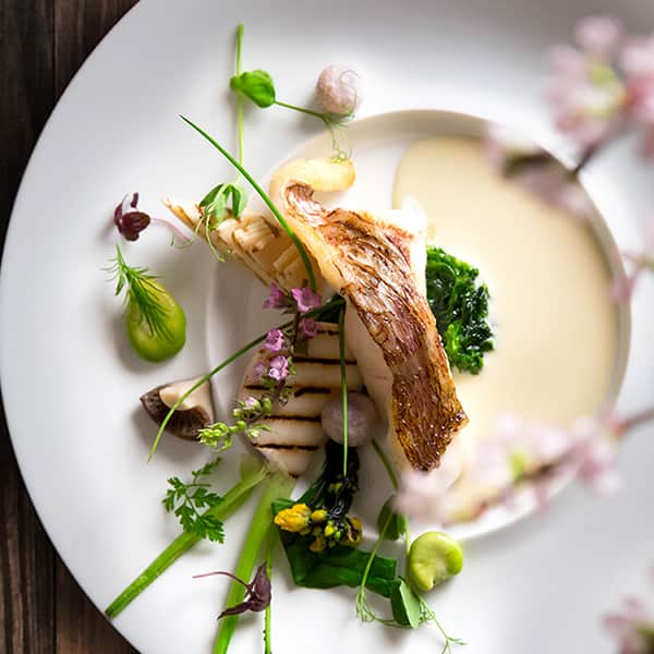 「美味しい春」はいかがですか？