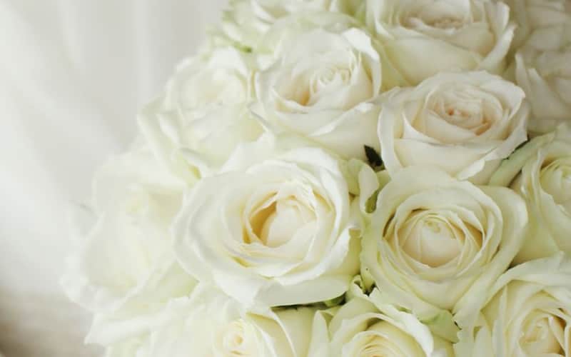 12本のバラに込められた想い