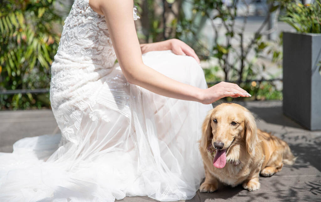 〈ペット婚プラン〉大切な家族と過ごすペットウエディング