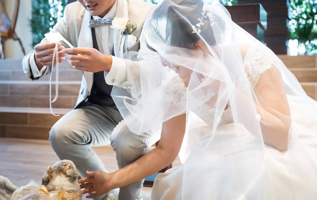 結婚式にぜひリングドッグの演出を！かわいい登場や運び方をご紹介