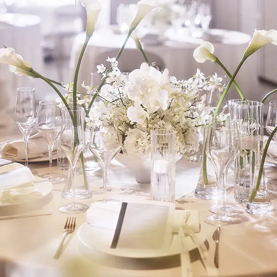 ドレス＆アイテムのビジュアル