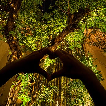 メモリアル プラン