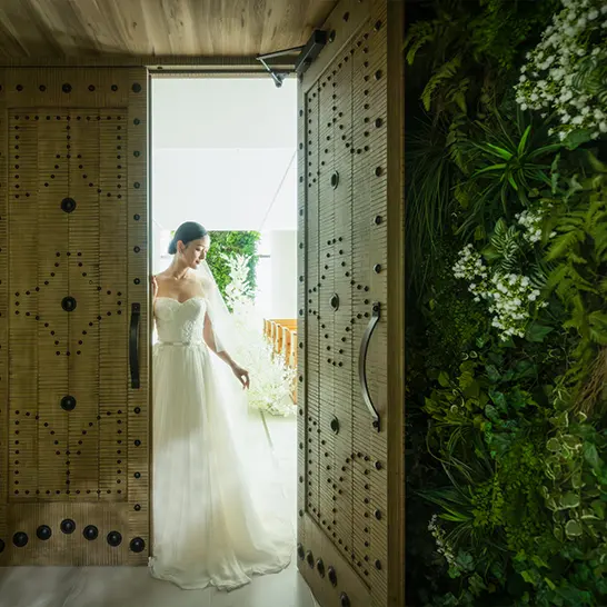 フォトギャラリー