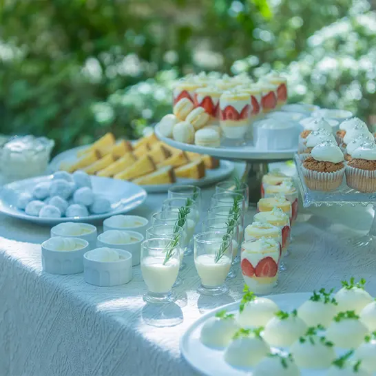 フォトギャラリー