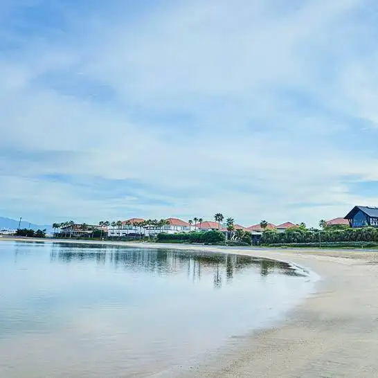 フォトギャラリー