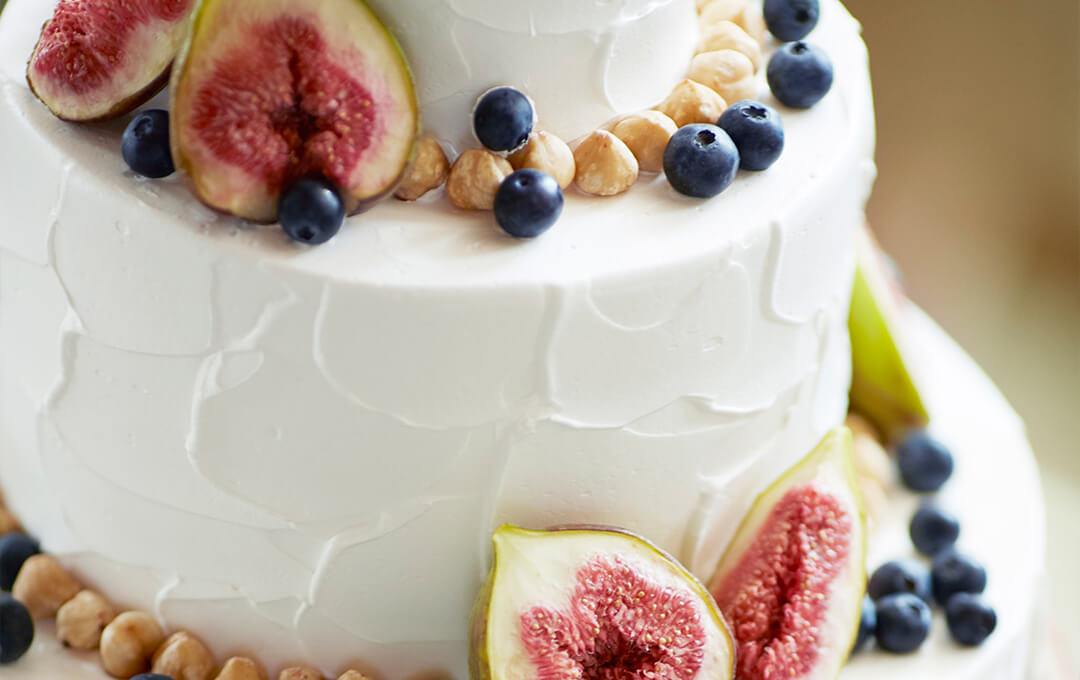 フォトギャラリー