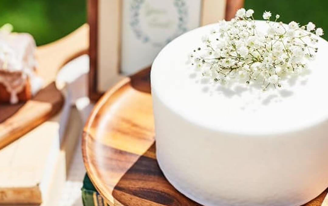 フォトギャラリー