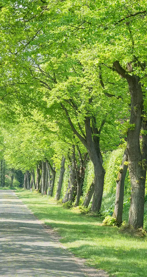 表参道プライベートウエディング