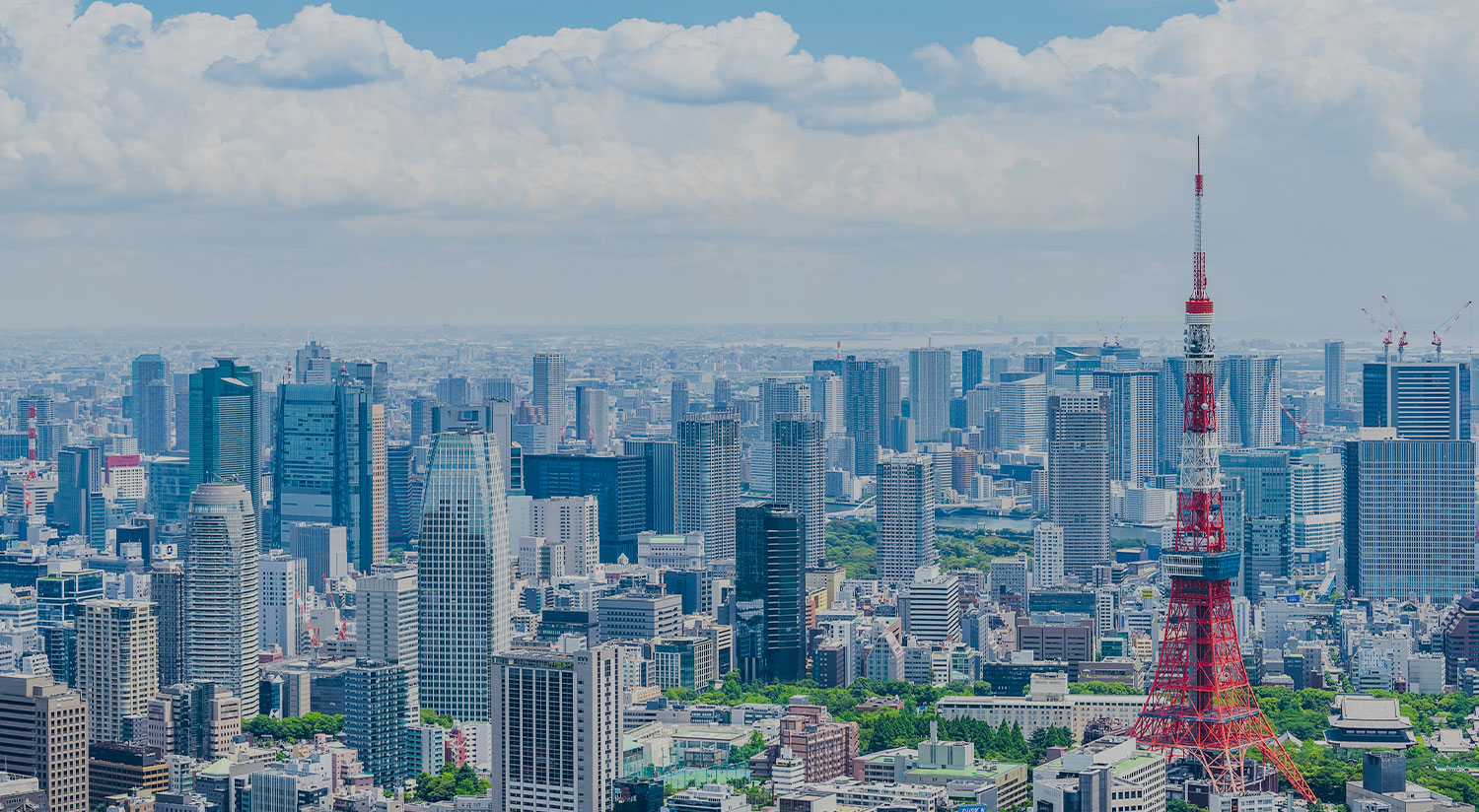 ルミヴェール東京